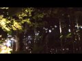 Fuji Rock - Documentary